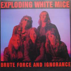 Exploding White Mice : Brute Force and Ignorance
